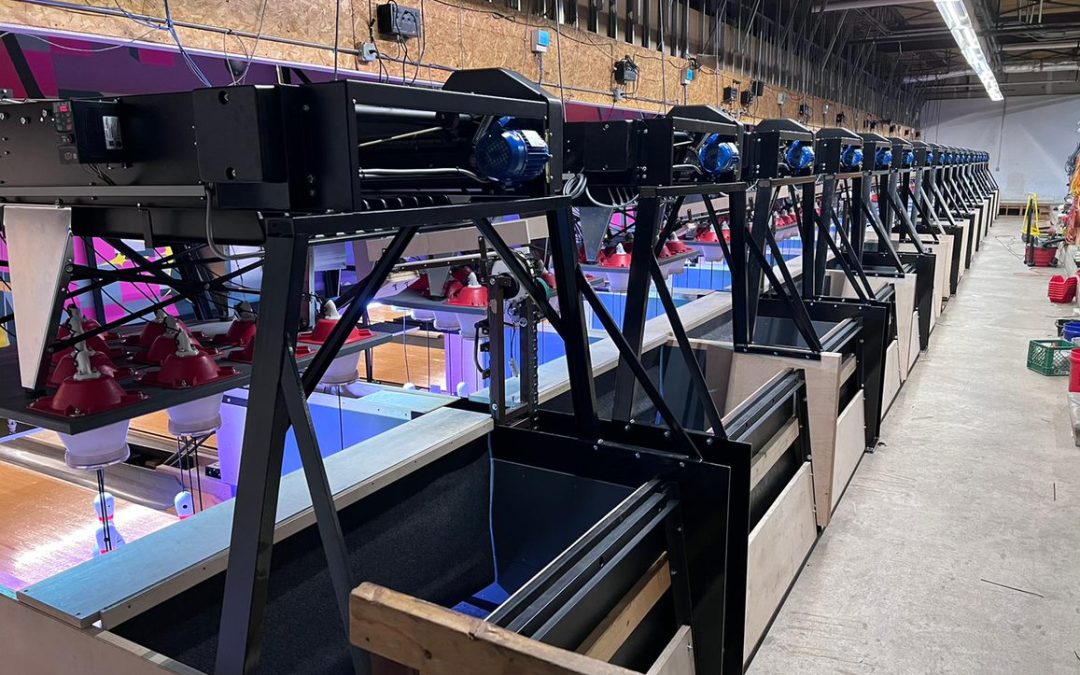 The Most Costly String Pinsetters Mistake